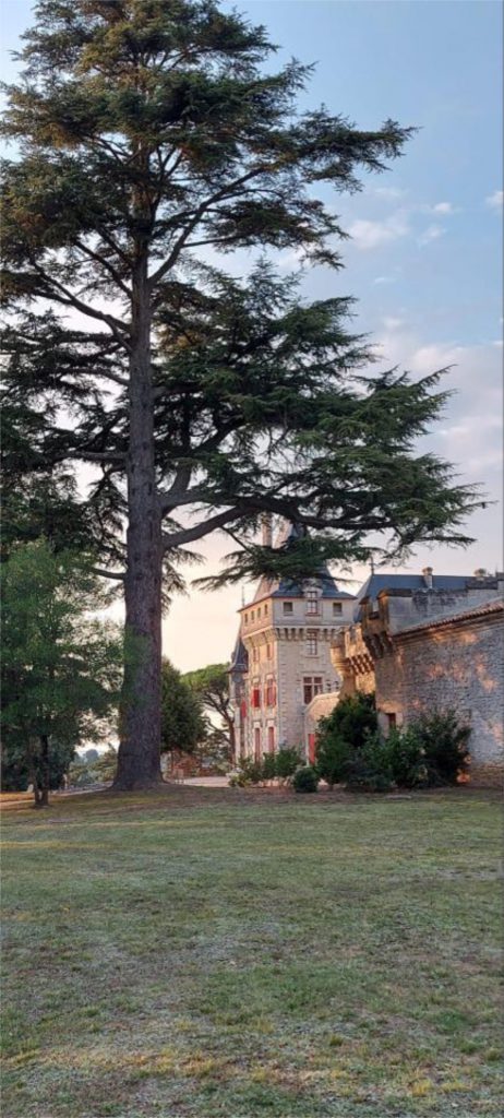 Château de Pressac - Saint-Émilion Grand Cru