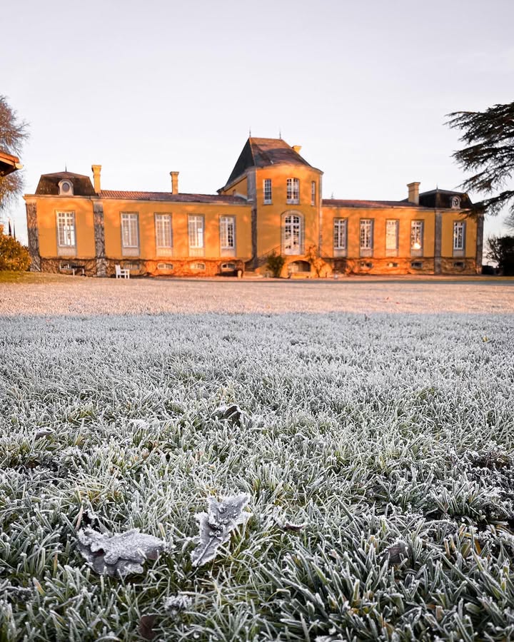 Bordeaux vineyard - Château - Château Lafon-Rochet - grand cru classé - vins de bordeaux - bordeaux wines - winter - froid - cold - vines 